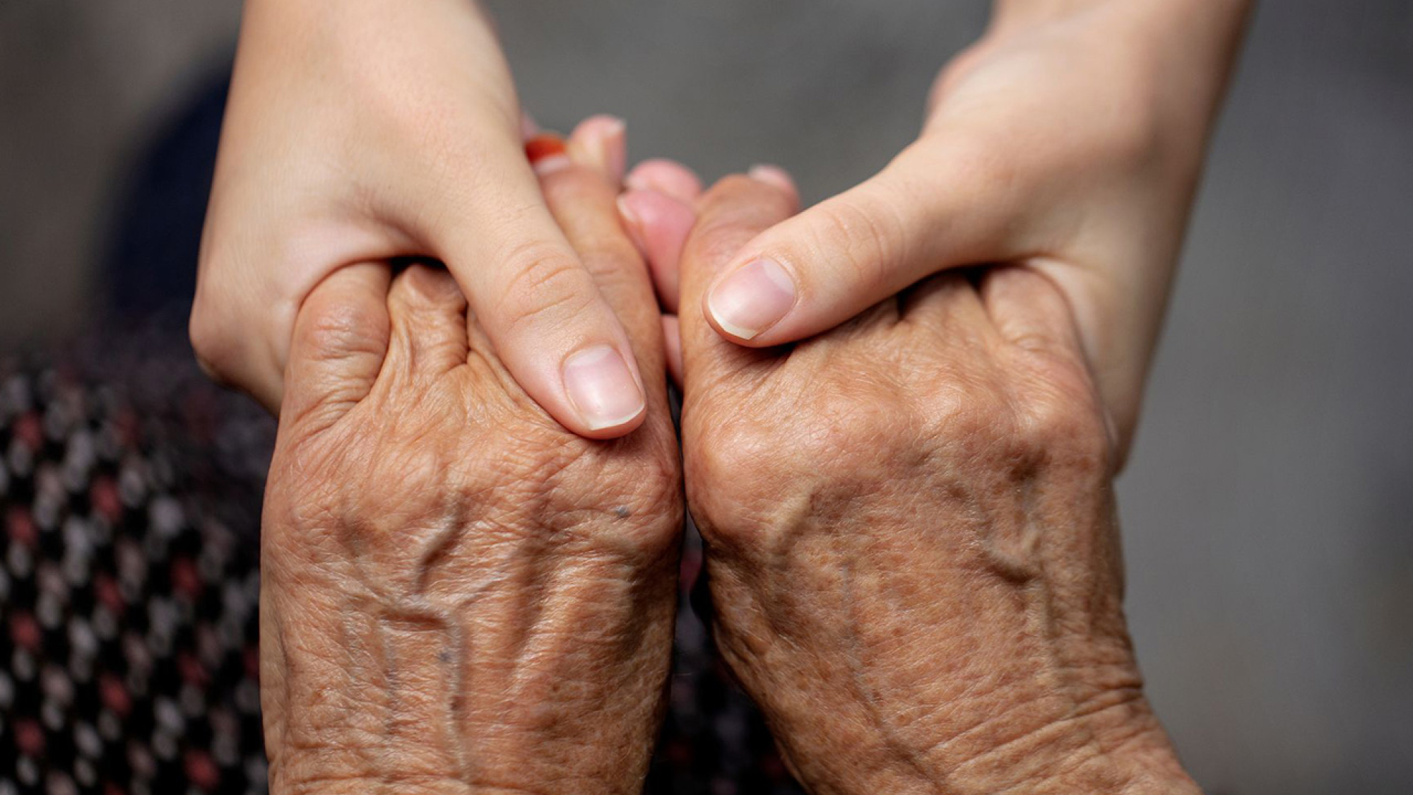 xr:d:DAF_hS-7vWY:23,j:2531447651369327893,t:24041218